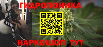 гидра Кингисепп