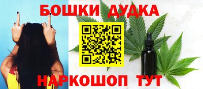 гидра Кингисепп