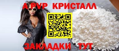 гидра Кингисепп