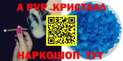 гидра Кингисепп