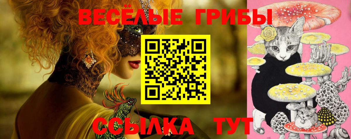 Галлюциногенные грибы MAGIC MUSHROOMS  Галлюциногенные грибы прущие грибы  Вход с VPN  Кузнецк 